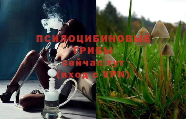 героин Алзамай