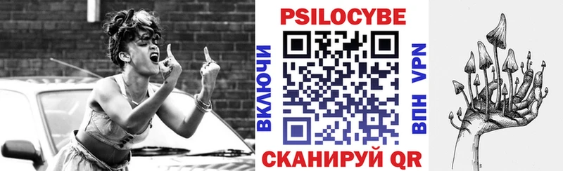 Псилоцибиновые грибы Cubensis  где продают   Лесосибирск 