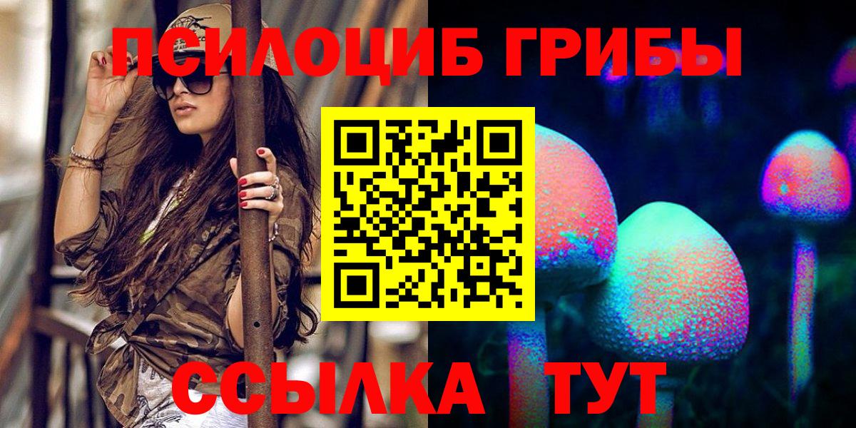 Лесосибирск  Псилоцибиновые грибы мицелий  Вход с VPN  Галлюциногенные грибы прущие грибы 